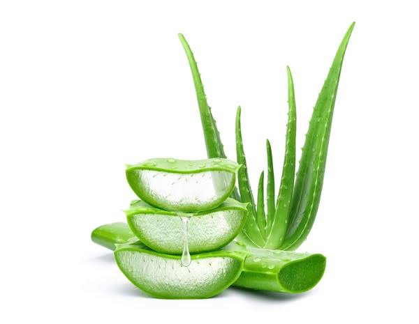 Aloevera