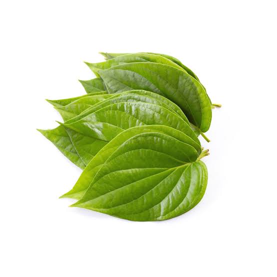 bettle_leaf
