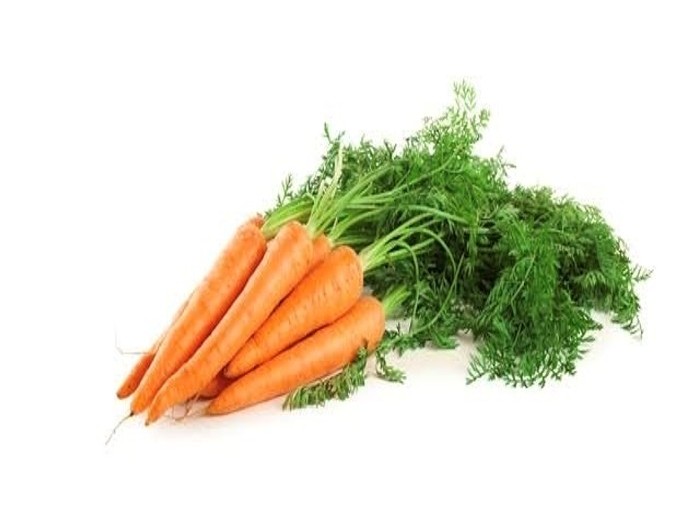 Carrot