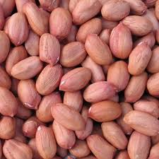 peanut
